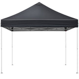 10x10FT pop up Canopy Tent with 2 sidewalls, Outdoor Canopy Tent for Parties 91136908