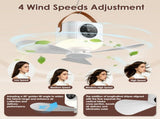 2-in-1 Camping Fan with LED Lantern Remote Control, 4 Wind Speeds 3 Light Brightness Timer Function 24666456