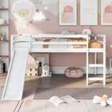 ZUN Loft Bed with Slide, Multifunctional Design, Twin 49816073