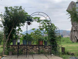 Garden Arch Arbor Trellis for Climbing Plants with Gate, Durable Metal Garden Arch Outdoor Wedding W840P321539