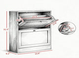 Slim Shoe Storage Cabinet, 2 Flip Drawers & Adjustable Shelves, Holds 8-12 Pairs, Blue 91029403
