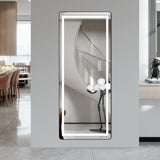 64 inch x 21 inch full-length vertical mirror with LED light, illuminated floor mirror with bracket, W2709P305306