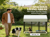 Dog Kennel Outdoor 36859357