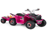 2 in 1 Kids Ride On ATV with Removable Trailer, 6V Electric Quad for Toddlers Ages 3 Rose Red 41959121