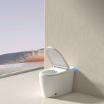 ZUN Smart Toilet with Voice Control and Bubble Shield, Heated Bidet Seat, Portable toilet with bidet W1872P209921