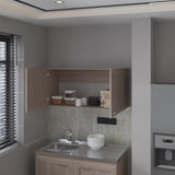 Nakya Kitchen Wall Cabinet with 2 Doors, White Oak B128P314811