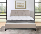 12-inch Eastern King Highly Breathable Quilted Cover Hybrid, White, Plush Foam B011P213355