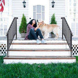 Matte Black Outdoor 3 Level Iron Handrail 33331120
