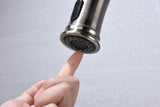 Kitchen Faucet with Pull Down Sprayer W2287P321790