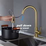 Single Handle Stainless Steel Kitchen Sink Faucet with Pull Down Sprayer W2287P354628