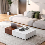 ZUN Modern style walnut coffee table with two storage spaces W1320P193293