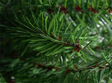 3 Feet Tabletop Unlit Christmas Tree 93061440