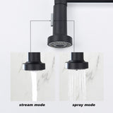 Kitchen Faucet with Pull Out Spraye TH4003MB02