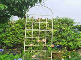 2 Pack Metal Garden Trellis 86.7" x 19.7" Rustproof Trellis for Climbing Plants Outdoor Flower 30907319