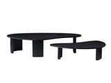 2-Piece Modern Irregular Shape Coffee Table Set for Living Room,Easy Assembly Nesting Coffee Tables, W2582P402266