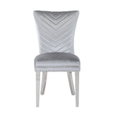 Eva 2 Piece Stainless Steel Legs Chair Finish with Velvet Fabric in Silver 733569295678