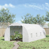 Greenhouse Walk-in Grow House 70302721