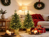 4ft Christmas Tree Set of 2 Aspen Fir Dual Color LED Remote Battery Operated 11 Modes 26539305