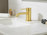 Single Handle Bathroom Faucet Lavatory Faucet Stainless Steel Single Hole-T10, Brushed GoldUnable 57713615