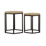 Natural and Black 2-Piece Nesting Table B062P153599