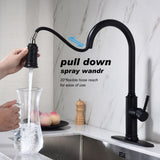 Kitchen Faucet with Pull Out Spraye 66599224