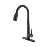 Single Handle Stainless Steel Kitchen Sink Faucet with Pull Down Sprayer W2287P354614