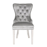 Erica 2 Piece Stainless Steel Legs Chair Finish with Velvet Fabric in Light Gray 808857825940