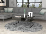 Carbon Espresso and Onyx 1-Shelf Lift Top Coffee Table B06280128