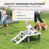 Wooden Dog Training Place Board 40292551