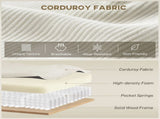 Sofa Chair/Sofa Bed 09350245