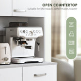 Kitchen Storage Cabinet 04507570