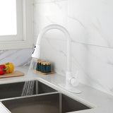Kitchen Faucet with Pull Out Spraye 61000236
