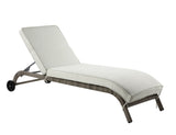 Salena Beige Fabric & Gray Finish Patio Sun Lounge B2726P265738