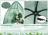 Hexagonal Mini Greenhouse with Zipper Door & Roll-Up Window, PE Cover Outdoor Plant House 10144158