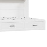 Queen Size Farmhouse Murphy Cabinet Bed with Charging Station, Foldable Platform Bed with Large 10043440