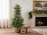 Ultra-Realistic Artificial Christmas Tree Dense Lush Look Detachable Packaging Indoor Outdoor Decor 99925990