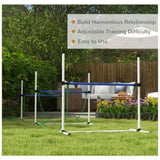 Dog agility training equipment 46953380