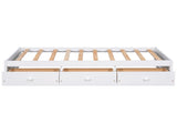 Twin Size Platform Storage Bed with 3 Drawers,White WF193634AAK