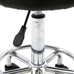 ZUN Round Shape Adjustable Salon Stool with Back and Line Black 29871662