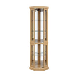 Corner Glass Cabinet Lighted Curio Cabinet Corner Display Case for Living Room, Curio Cabinet, W2275P194430