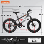 ZUN A20316 20 inch Fat Tire Bike Adult/Teen Full Shimano 7 Speed Mountain Bike, Dual Disc Brakes, High W709P185460