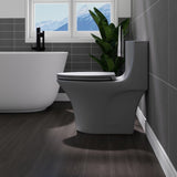 1.1/1.60 GPF Dual-Flush One Piece Toilet, Button on Tank top S-trap, Water-Saving Elongated Comfort W3192P277903