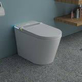 ZUN Smart Toilet with Bidet Built in, Auto Open & Close, Elongated Heated seat, Foot Sensor Flush, LED W1243P203359