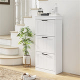 Shoe Storage Cabinet 39582614