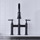 Pull Down Double Handle Kitchen Faucet 15569694