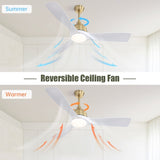 ZUN 54 Inch Modern ABS Ceiling Fan 6 Speed Remote Control Dimmable Reversible DC Motor With Light and 79193518