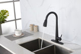 Single Handle Stainless Steel Kitchen Sink Faucet with Pull Down Sprayer W2287P354614