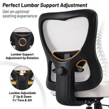 Big Office Chair,Large Ergonomic Executive Chair for Heavy Duty People, Computer Desk Task Chair T3593P338471