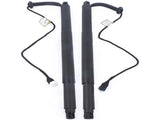 Pair Rear Electric Tailgate 7434044 7434043 for BMW X6 M F86 sDrive35i F16 2017 16619142
