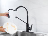 Matte Black Kitchen Single Handle Kitchen Sink with Pull Down Sprayer Utility Sink 48168484